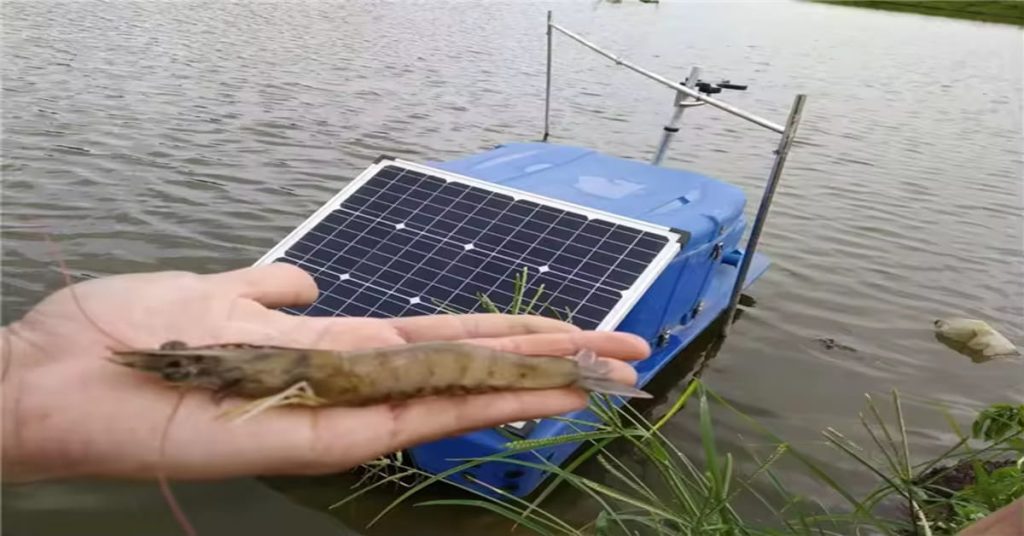 تصویر شاخص - انواع غذاپاش ماهی و میگو