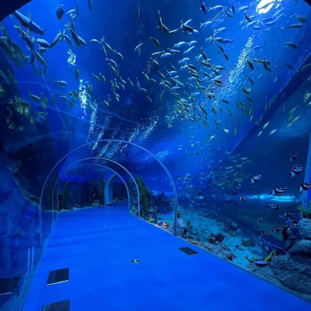 سیستم تصفیه مدیا