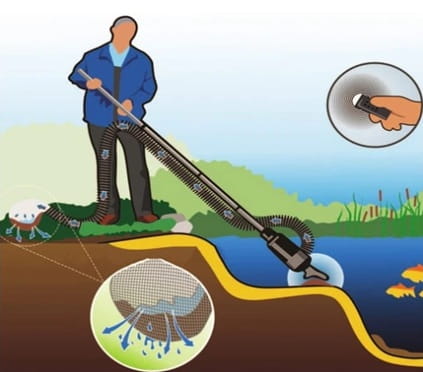 جاروی استخری در پرورش ماهی