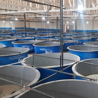 Abazin Circular Fiberglass Fish Farming Pools Aboutus-2