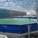 استخر شیلات هشت ضلعی با قطر 8 متر شرکت آبازین