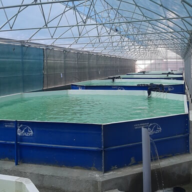 Abazin Octagonal Fiberglass Fish Farming Pools Aboutus-5