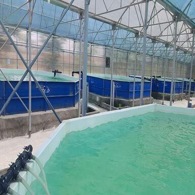 Abazin Octagonal Fiberglass Fish Farming Pools Aboutus-6