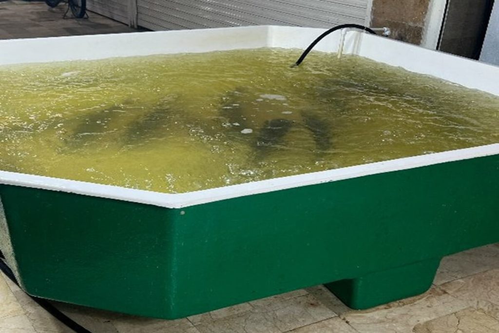 وان های آکواریومی - شرکت آبازین وان های آکواریومی - شرکت آبازین