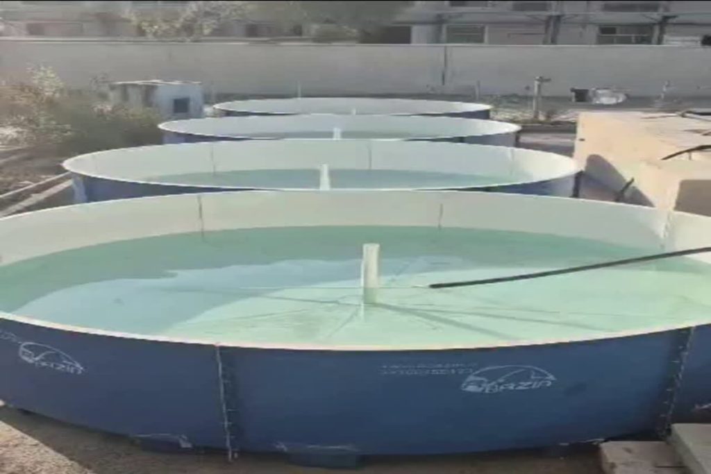 پروژه بندرعباس - مخازن بیست متر مکعب فایبرگلاس - شرکت آبازین پروژه بندرعباس - مخازن بیست متر مکعب فایبرگلاس - شرکت آبازین