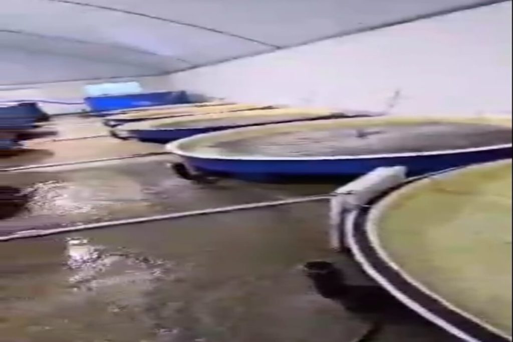 پروژه تاجیکستان - وان گرد ده هزار لیتری - شرکت آبازین پروژه تاجیکستان - وان گرد ده هزار لیتری