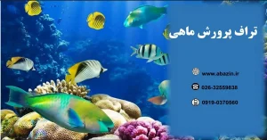 لیست قیمت تجهیزات آبزی پروری - تانکر حمل آبزیان زنده و تراف پرورش ماهی